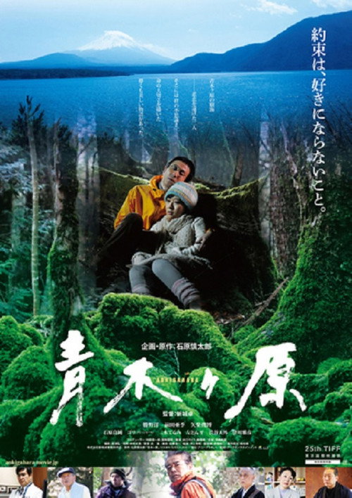 Movie poster for Aokigahara (2013)