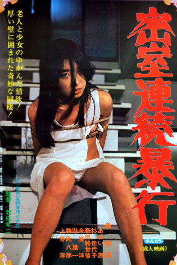 Movie poster for Serial Rape in a Secret Room (1981)