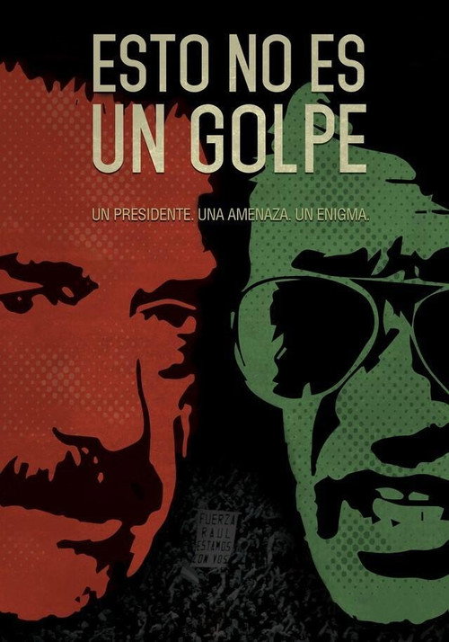Movie poster for This Is Not a Coup (2018)