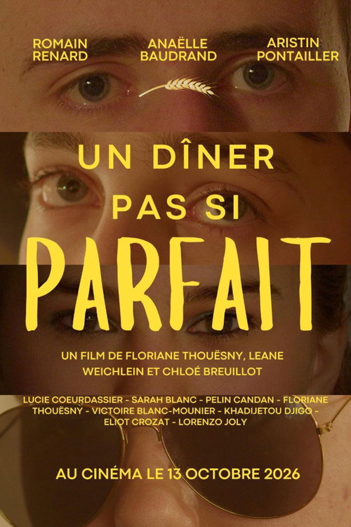 Movie poster for Un dîner pas si parfait (2026)