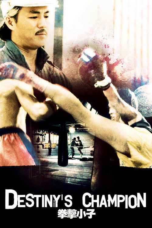 Movie poster for Destiny's Champion (1982)