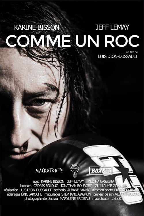 Movie poster for Like a Rock (2022)