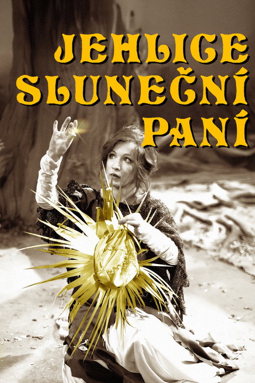 Movie poster for Jehlice Sluneční paní (1990)