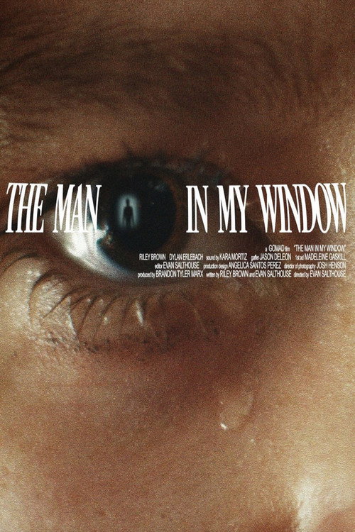 Movie poster for The Man In My Window