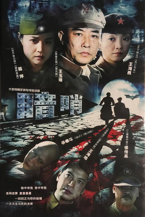 暗哨 poster