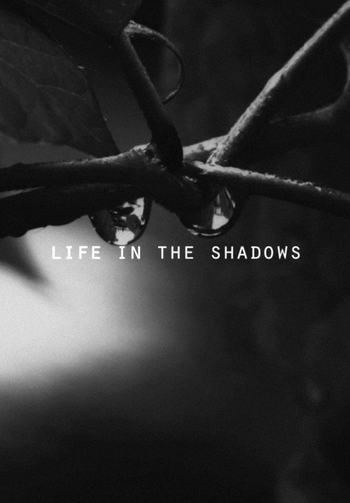 Movie poster for Life in the Shadows (2018)