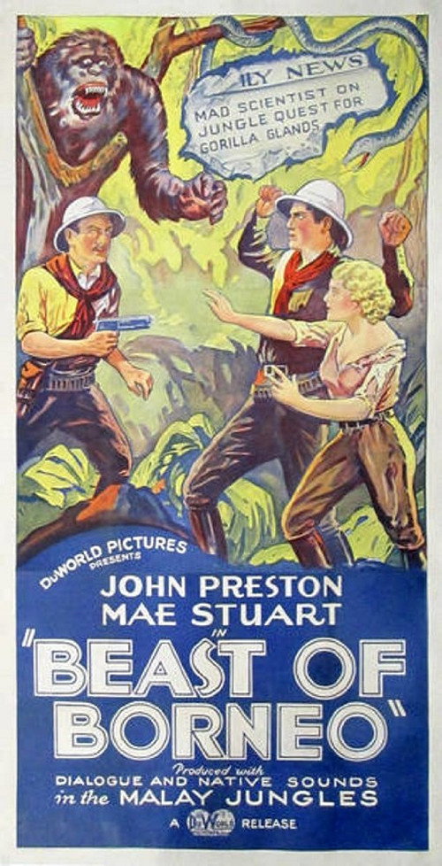 Movie poster for The Beast of Borneo (1934)
