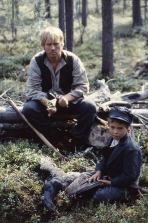 Movie poster for The Magic Wood (1986)