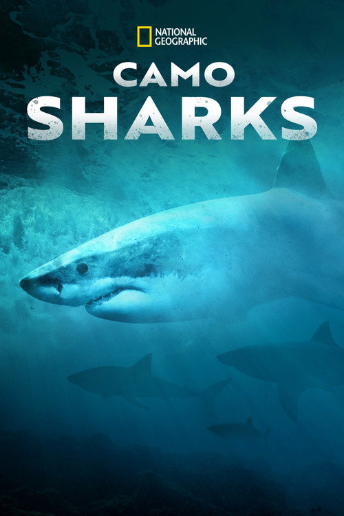 Movie poster for Camo Sharks (2022)