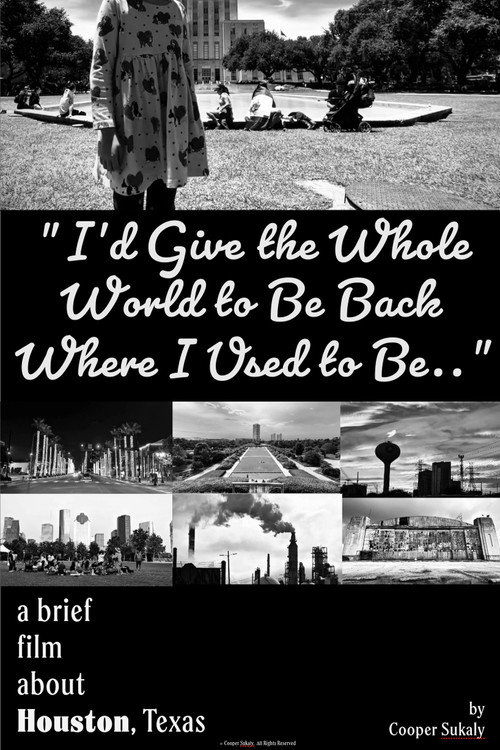 Movie poster for I’d Give the Whole World to Be Back Where I Used to Be... (2025)
