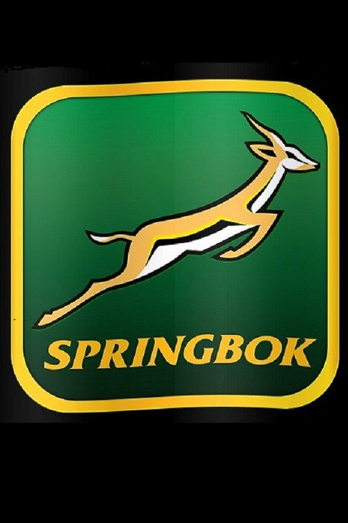 Movie poster for Springbok (1976)