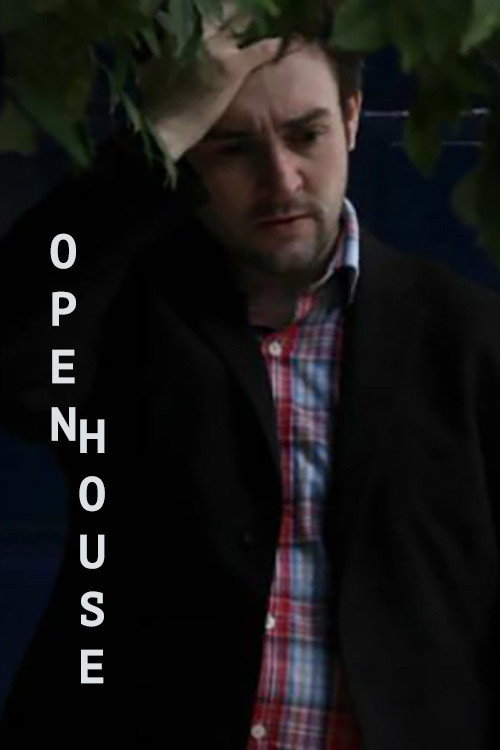 Movie poster for Open House (2013)