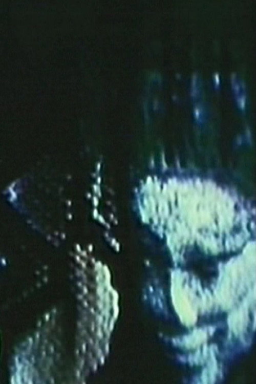 Movie poster for You Can’t Keep A Good Snake Down (2000)
