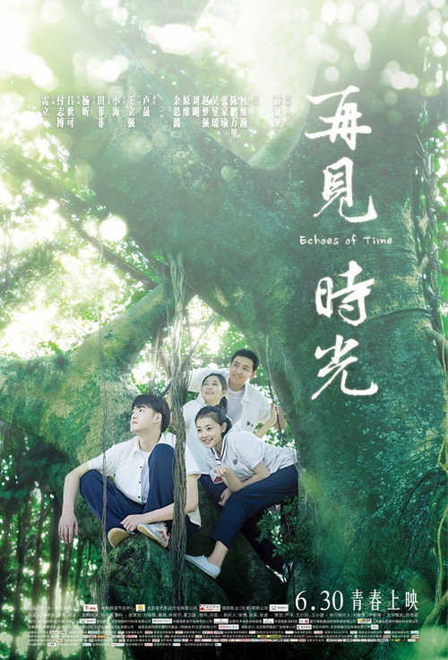Movie poster for Echoes of Time (2017)