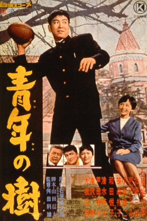 Movie poster for The Day of Youth (1960)
