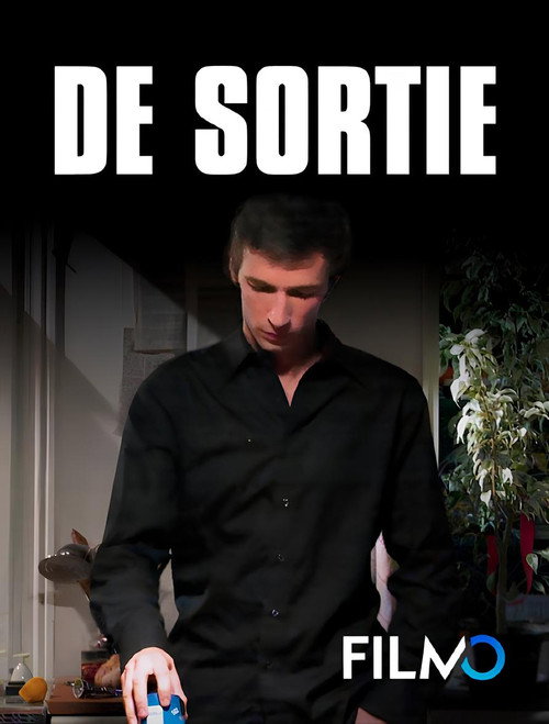 Movie poster for De sortie (2005)