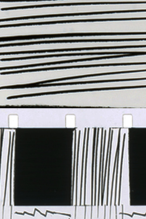 Movie poster for Process of Elimination (2012)