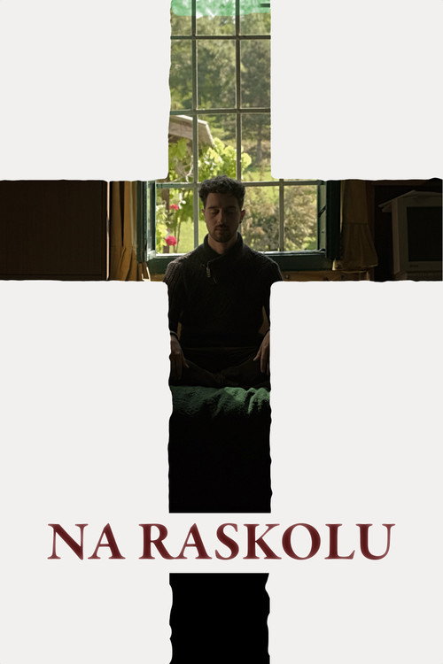 Movie poster for At The Split (2025)