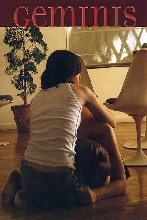 Movie poster for Gemini (2005)