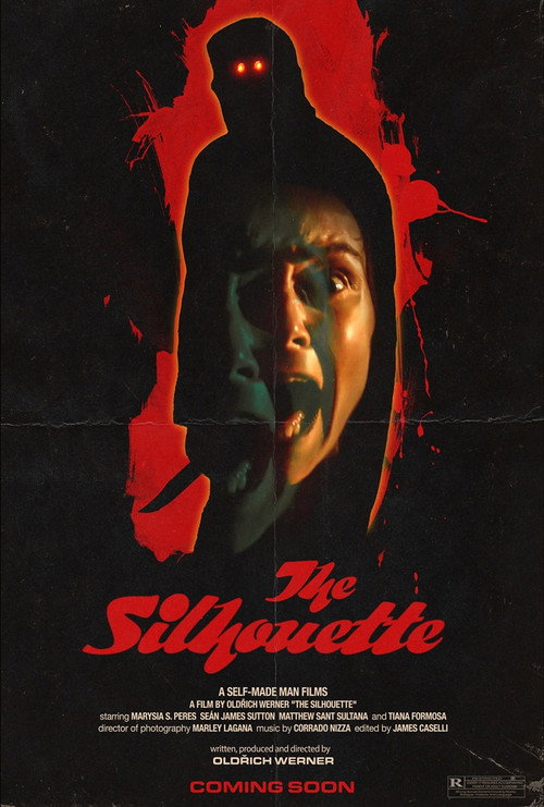 Movie poster for The Silhouette (2023)