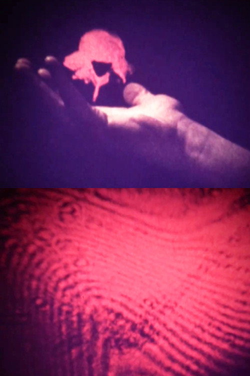 Movie poster for Visual Alchemy (1973)