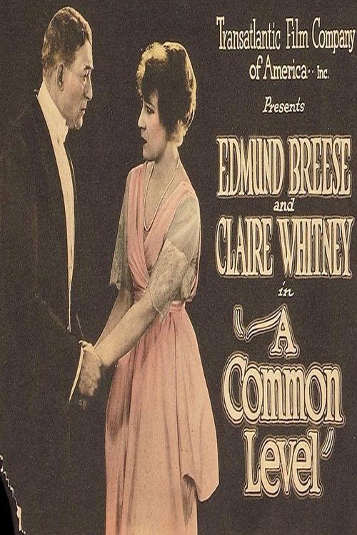 Movie poster for A Common Level (1920)