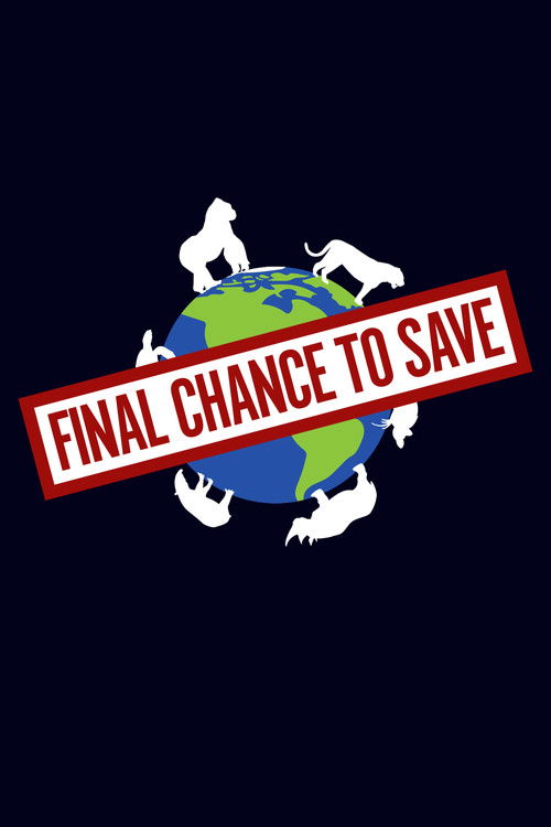 Final Chance to Save poster