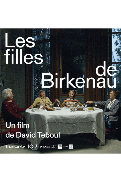 Movie poster for Les filles de Birkenau (2024)