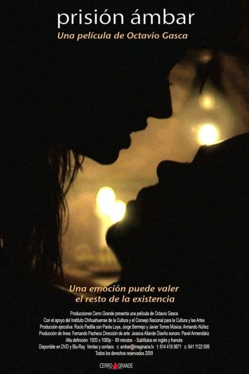 Movie poster for Prisión ámbar (2009)