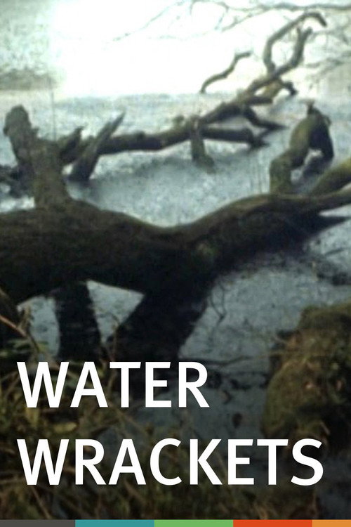 Movie poster for Water Wrackets (1978)