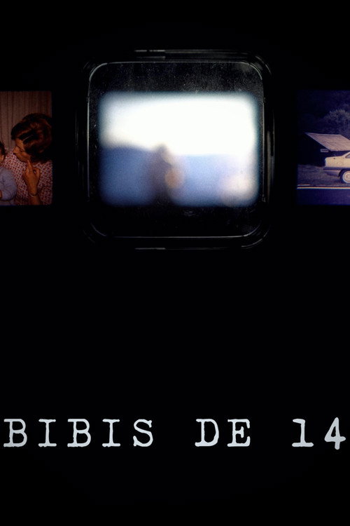 Movie poster for Bibis of 14 (2023)