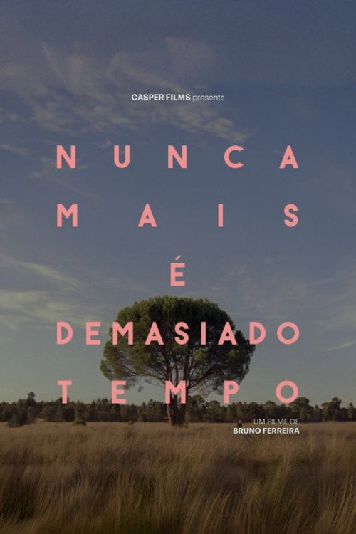 Movie poster for Nunca Mais É Demasiado Tempo (2024)
