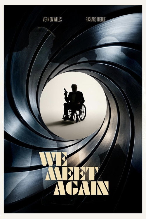 Movie poster for We Meet Again (2025)