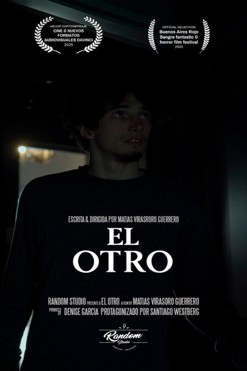 Movie poster for The Other