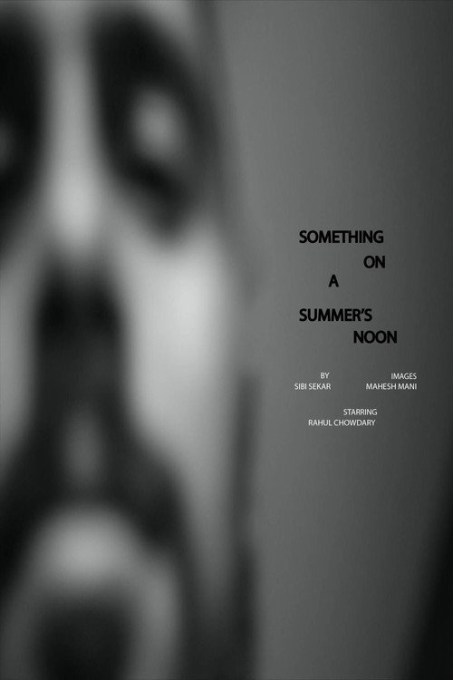 Movie poster for Something on a Summer's Noon