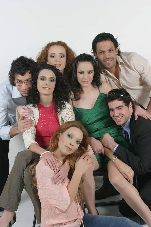 The Perfect Man poster