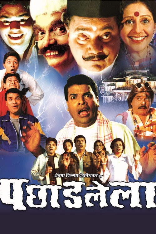 Movie poster for Pachhadlela (2004)