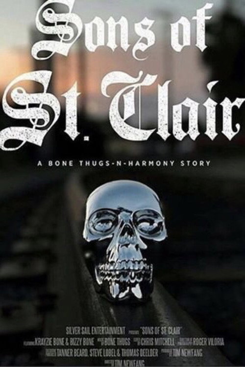 Movie poster for Sons of St. Clair