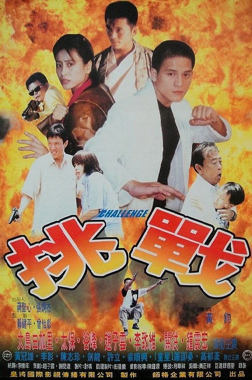 Movie poster for Challenge (1997)