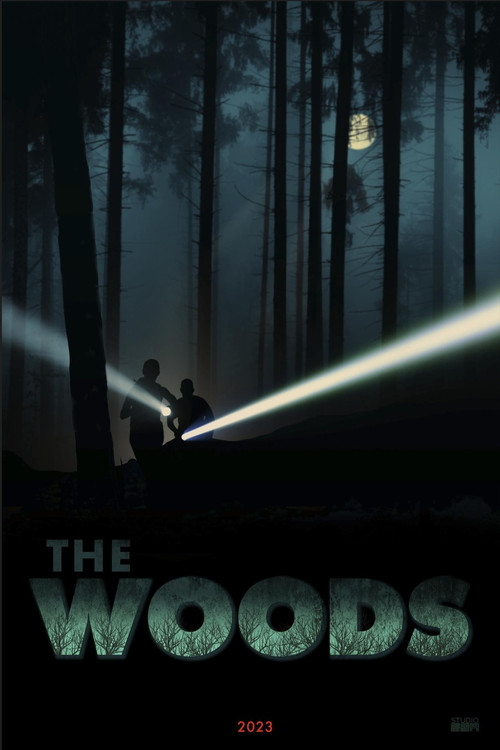 Movie poster for The Woods