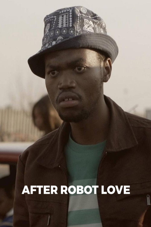 Movie poster for After Robot Love