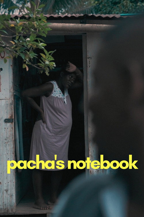 Movie poster for Pacha's Notebook (2021)