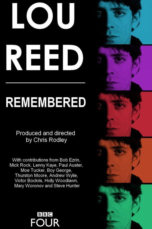 Movie poster for Lou Reed - Remembered (2013)