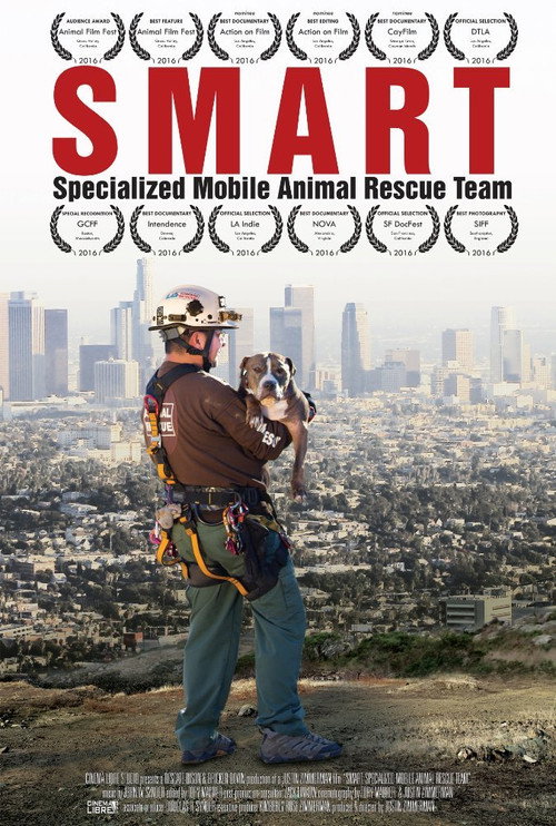 Movie poster for Smart (2015)