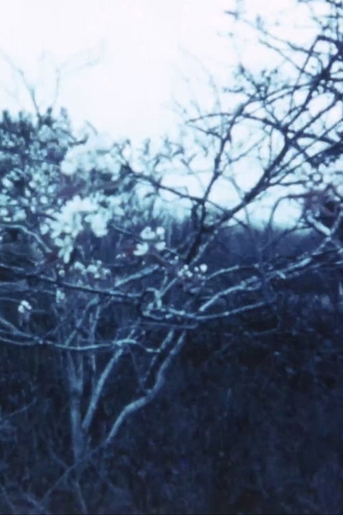 Movie poster for Vineyard I (1967)