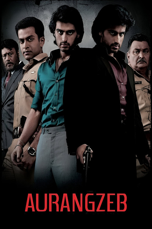 Movie poster for Aurangzeb (2013)
