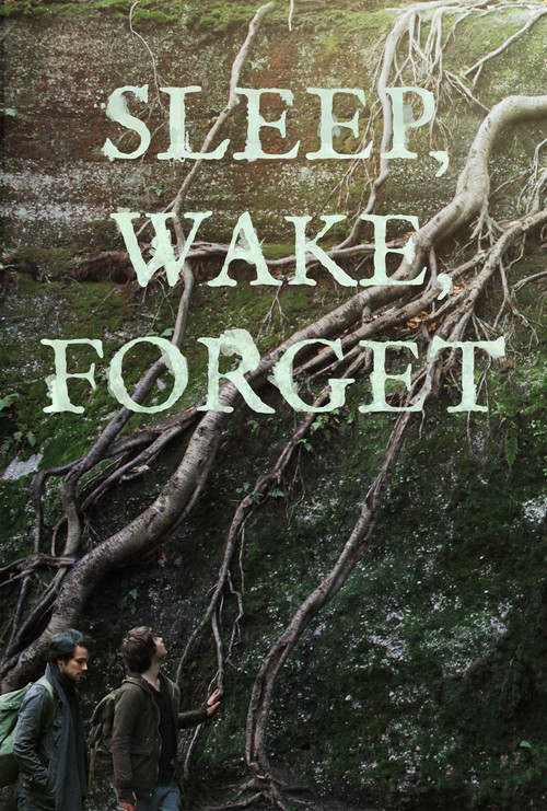 Movie poster for Sleep, Wake, Forget (2024)