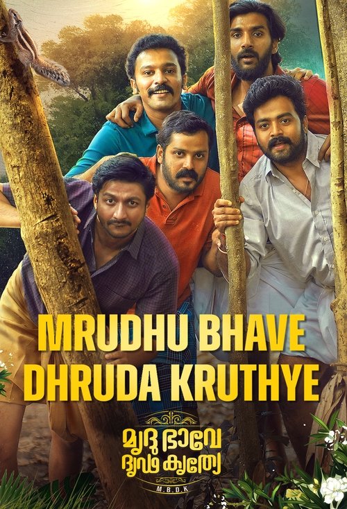 Movie poster for Mrudhu Bhave Dhruda Kruthye (2024)