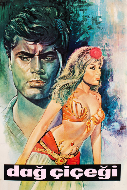 Movie poster for Dağ Çiçeği (1965)