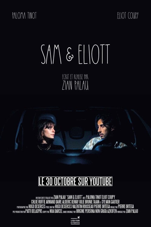 Movie poster for Sam & Eliott (2024)